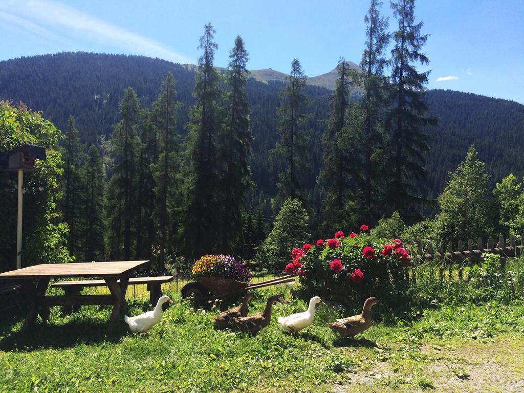 Bnb Guesthouse Lusi Frauenkirch 외부 사진