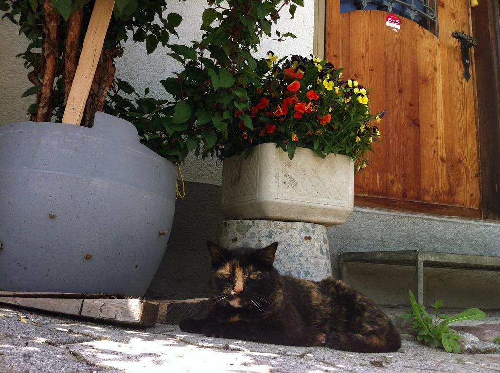 Bnb Guesthouse Lusi Frauenkirch 외부 사진