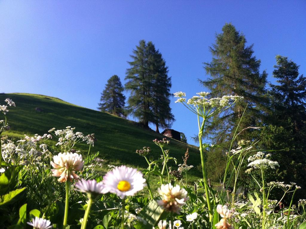 Bnb Guesthouse Lusi Frauenkirch 외부 사진
