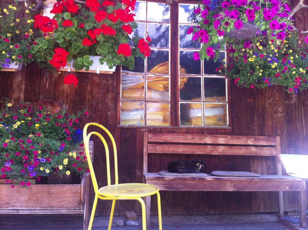 Bnb Guesthouse Lusi Frauenkirch 외부 사진